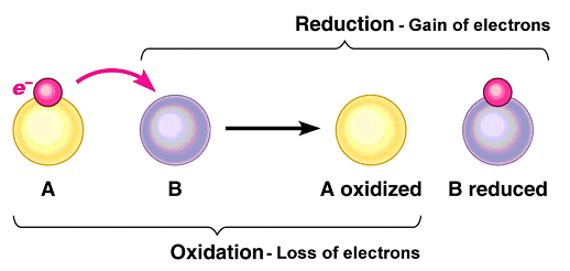 Reduction and Oxidation Diagram.png